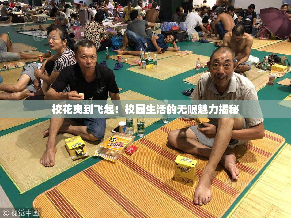 校花爽到飞起！校园生活的无限魅力揭秘