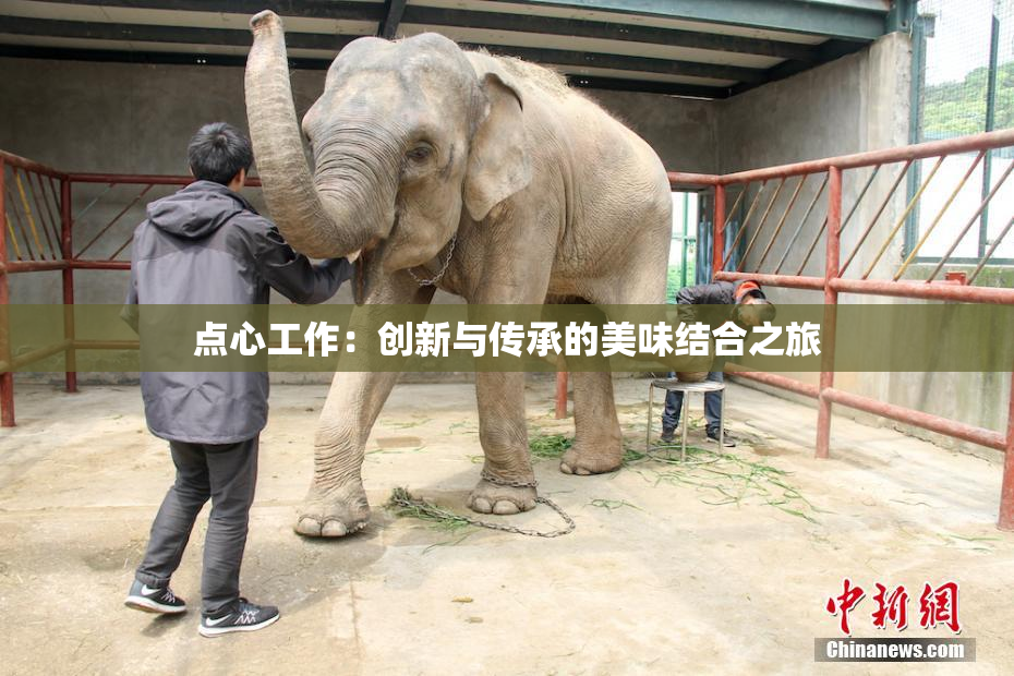 点心工作：创新与传承的美味结合之旅