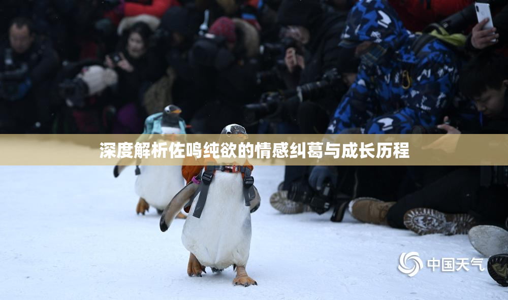 深度解析佐鸣纯欲的情感纠葛与成长历程