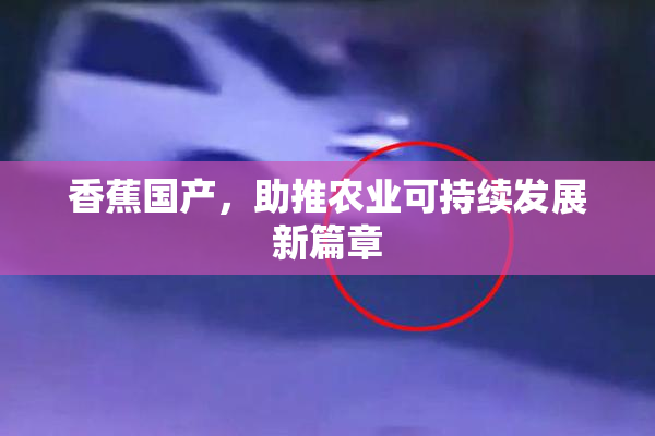 香蕉国产，助推农业可持续发展新篇章