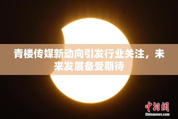 青楼传媒新动向引发行业关注，未来发展备受期待