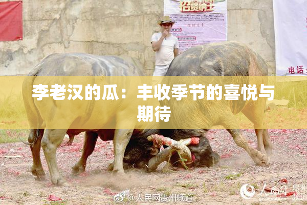 李老汉的瓜：丰收季节的喜悦与期待
