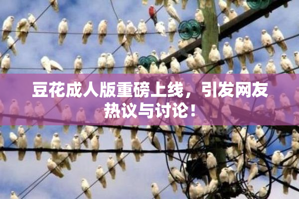豆花成人版重磅上线，引发网友热议与讨论！
