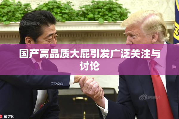 国产高品质大屁引发广泛关注与讨论