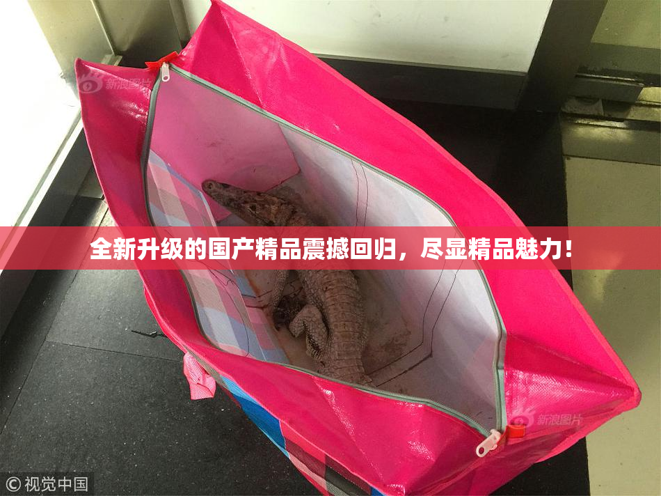 全新升级的国产精品震撼回归，尽显精品魅力！