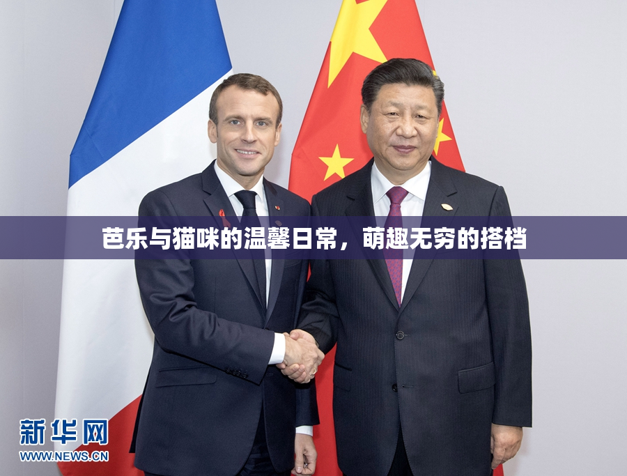芭乐与猫咪的温馨日常，萌趣无穷的搭档