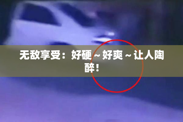 无敌享受：好硬～好爽～让人陶醉！
