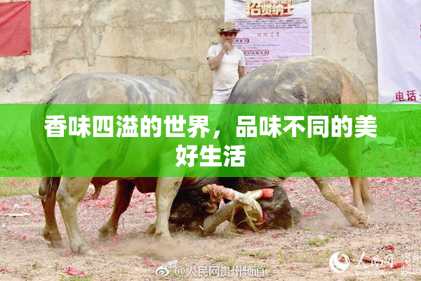 香味四溢的世界，品味不同的美好生活