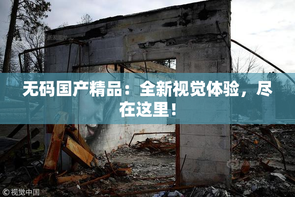 无码国产精品：全新视觉体验，尽在这里！