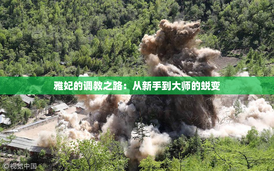 雅妃的调教之路：从新手到大师的蜕变