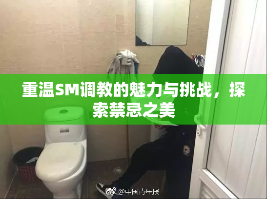 重温SM调教的魅力与挑战，探索禁忌之美