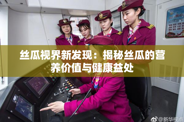 丝瓜视界新发现：揭秘丝瓜的营养价值与健康益处