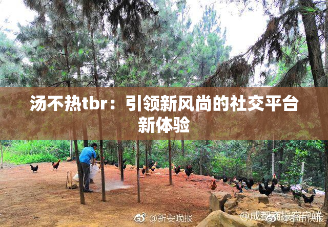 汤不热tbr：引领新风尚的社交平台新体验