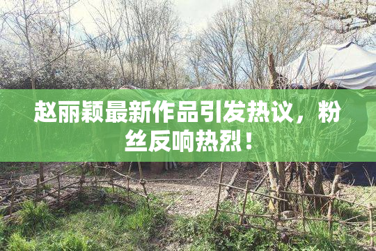 赵丽颖最新作品引发热议，粉丝反响热烈！