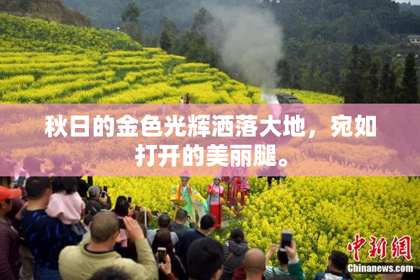 秋日的金色光辉洒落大地，宛如打开的美丽腿。