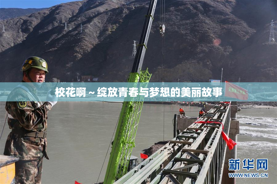 校花啊～绽放青春与梦想的美丽故事