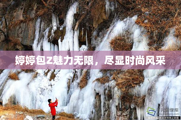 婷婷包Z魅力无限，尽显时尚风采