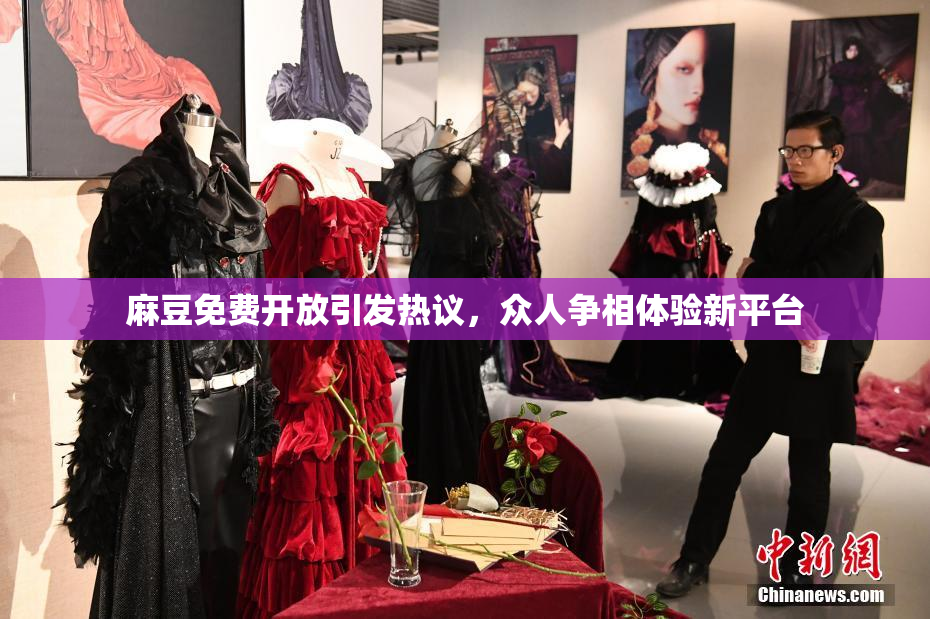 麻豆免费开放引发热议，众人争相体验新平台