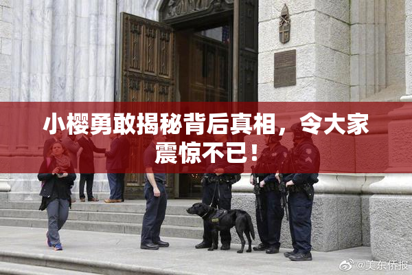 小樱勇敢揭秘背后真相，令大家震惊不已！