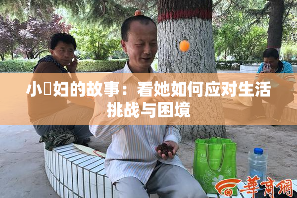 小婬妇的故事：看她如何应对生活挑战与困境