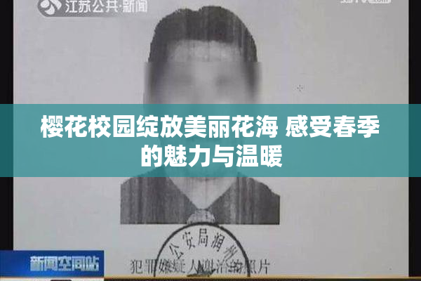 樱花校园绽放美丽花海 感受春季的魅力与温暖