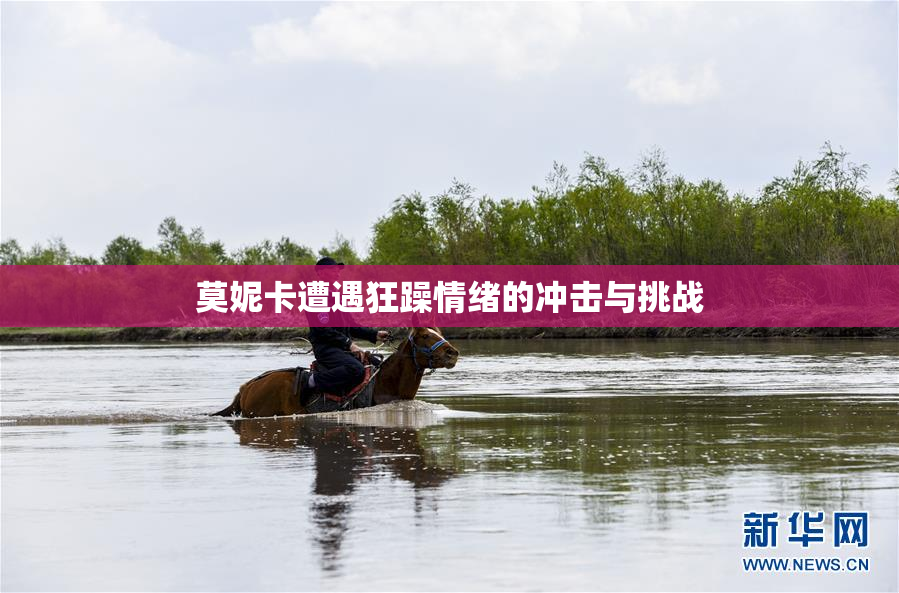 莫妮卡遭遇狂躁情绪的冲击与挑战