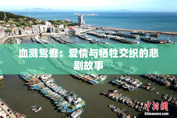 血溅鸳鸯：爱情与牺牲交织的悲剧故事