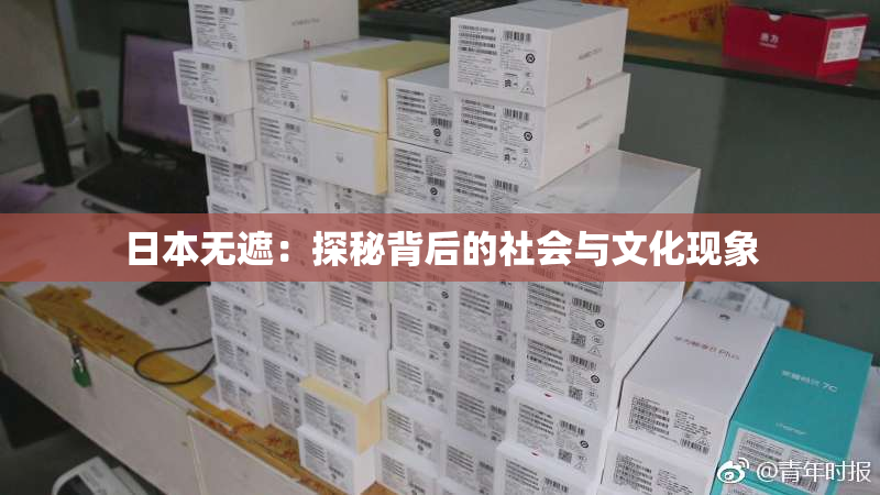 日本无遮：探秘背后的社会与文化现象