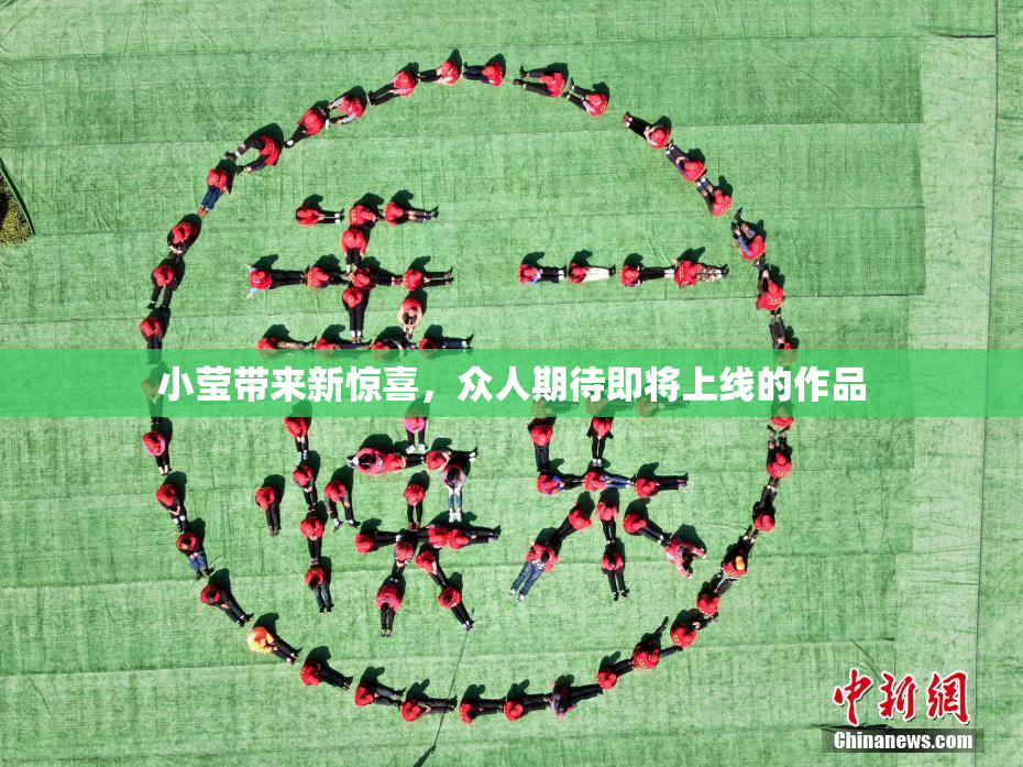 小莹带来新惊喜，众人期待即将上线的作品