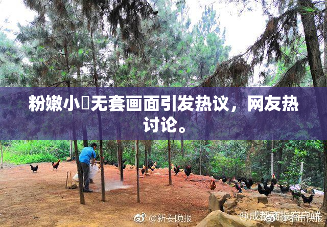 粉嫩小泬无套画面引发热议，网友热讨论。