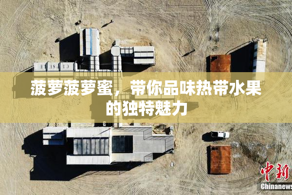 菠萝菠萝蜜，带你品味热带水果的独特魅力