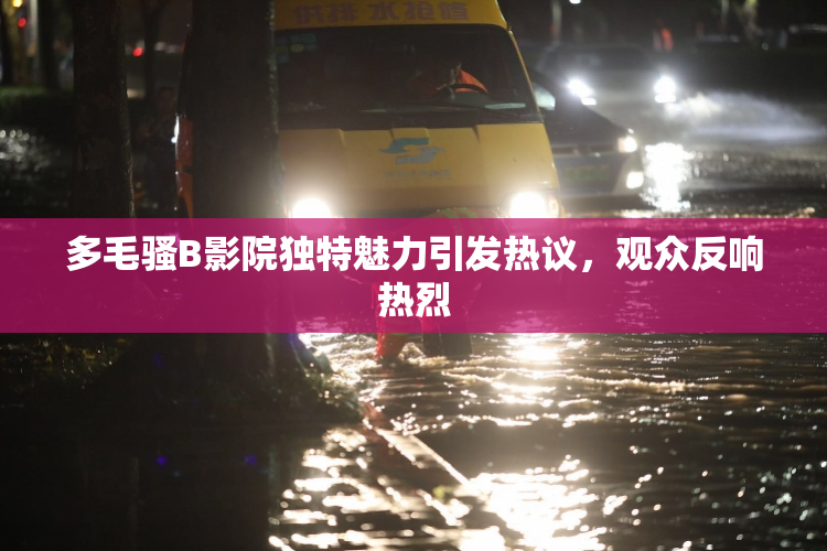 多毛骚B影院独特魅力引发热议，观众反响热烈