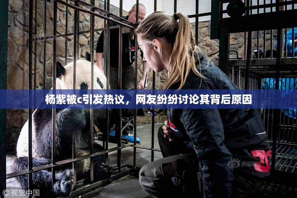 杨紫被c引发热议，网友纷纷讨论其背后原因