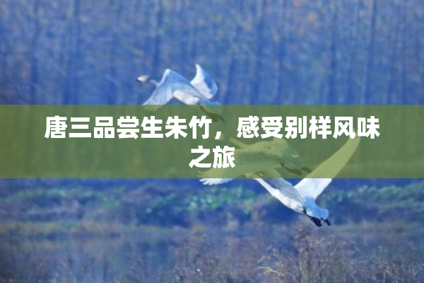 唐三品尝生朱竹，感受别样风味之旅