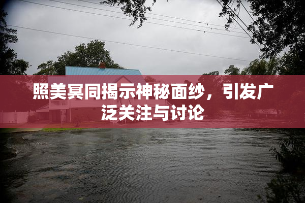 照美冥同揭示神秘面纱，引发广泛关注与讨论
