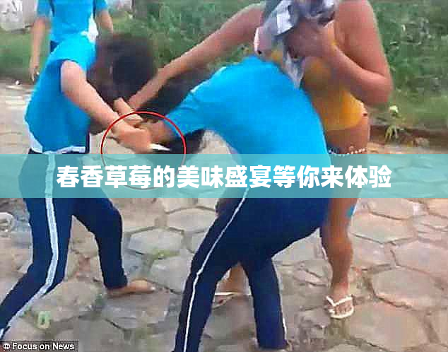 春香草莓的美味盛宴等你来体验