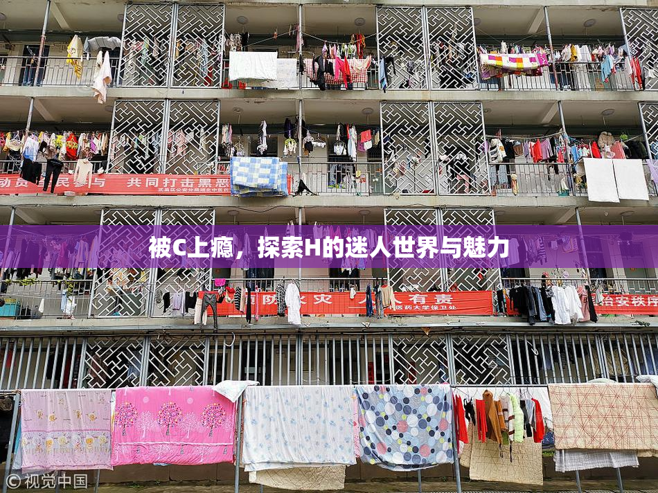 被C上瘾，探索H的迷人世界与魅力