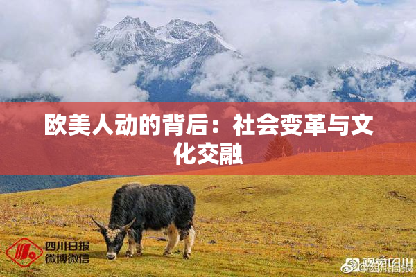 欧美人动的背后：社会变革与文化交融