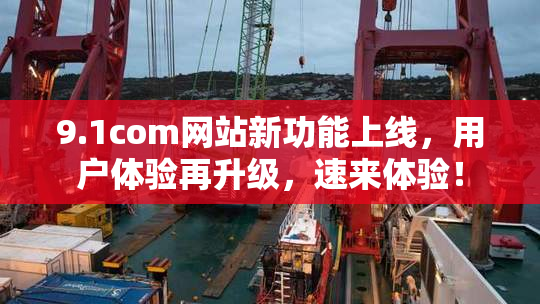 9.1com网站新功能上线，用户体验再升级，速来体验！