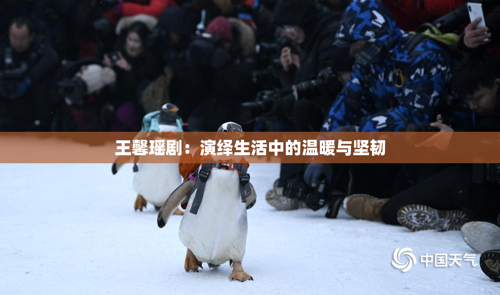 王馨瑶剧：演绎生活中的温暖与坚韧
