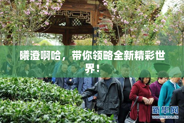 曦澄啊哈，带你领略全新精彩世界！