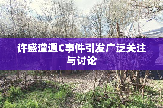许盛遭遇C事件引发广泛关注与讨论