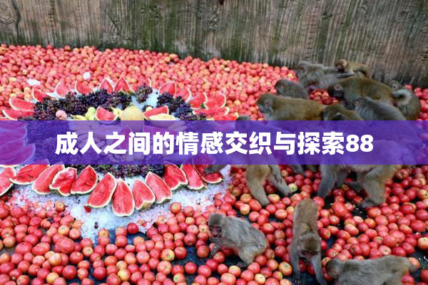成人之间的情感交织与探索88