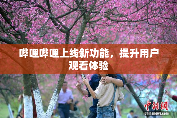哔哩哔哩上线新功能，提升用户观看体验