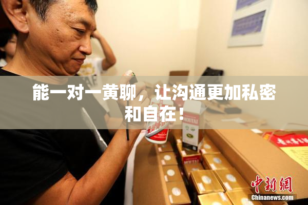 能一对一黄聊，让沟通更加私密和自在！