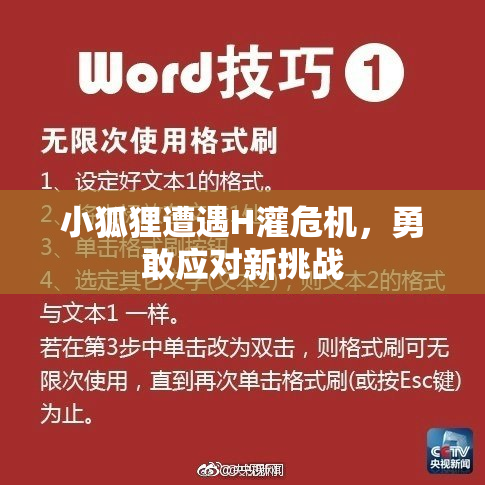小狐狸遭遇H灌危机，勇敢应对新挑战