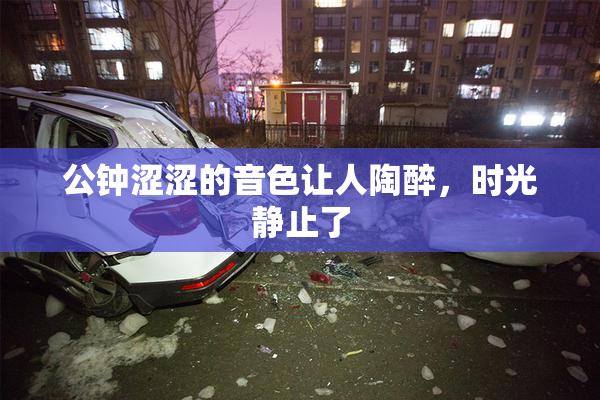 公钟涩涩的音色让人陶醉，时光静止了