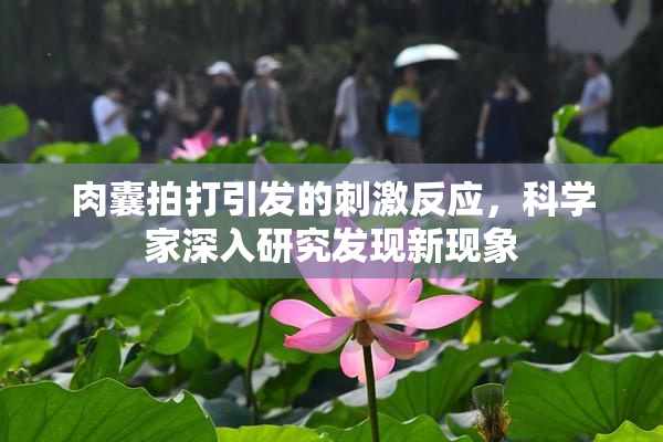 肉囊拍打引发的刺激反应，科学家深入研究发现新现象