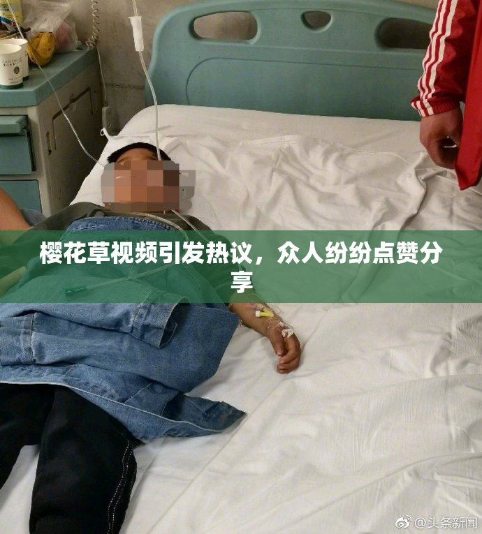 樱花草视频引发热议，众人纷纷点赞分享