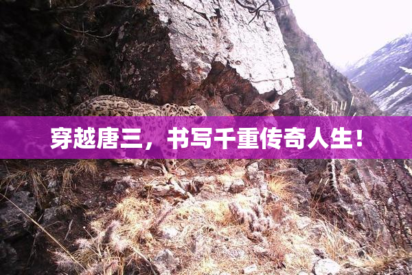 穿越唐三，书写千重传奇人生！